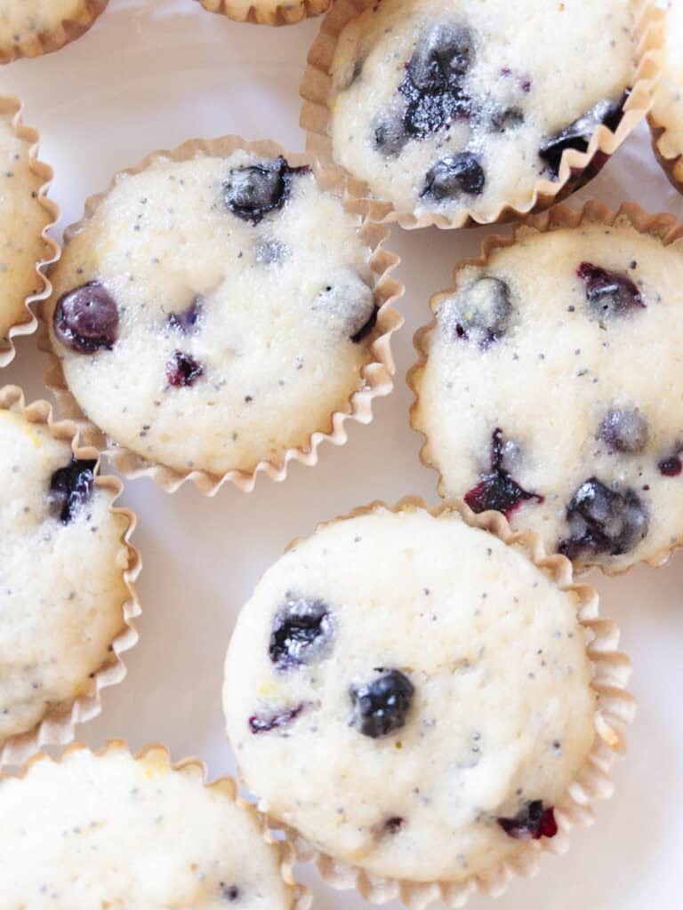 mini blueberry muffins